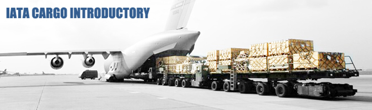 iata-cargo-introductory-banner.jpg